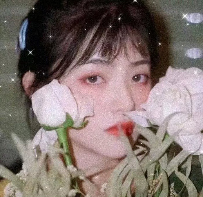 最后的吸血鬼